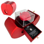 Red Apple Jewelry Box with Eternal Rose & Necklace – Gift for Her