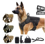 Luxury Nylon Dog Harness & Leash Set – Camouflage